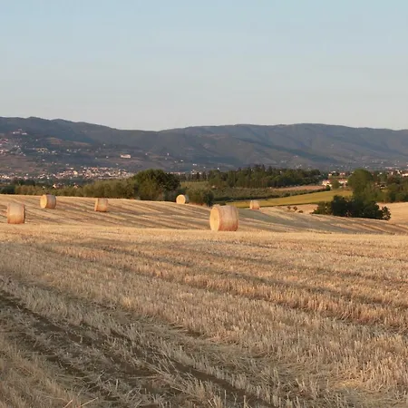 Fattoria Borgonuovo Lantställe *