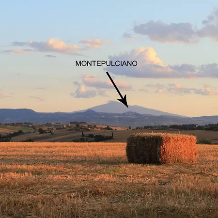 Fattoria Borgonuovo Lantställe Cortona