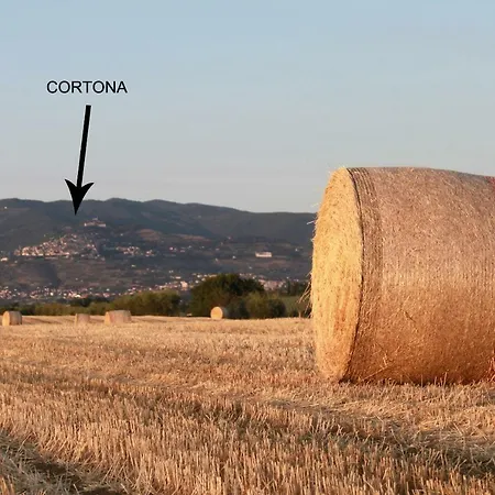 Lantställe Fattoria Borgonuovo *